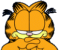 #1 Garfield